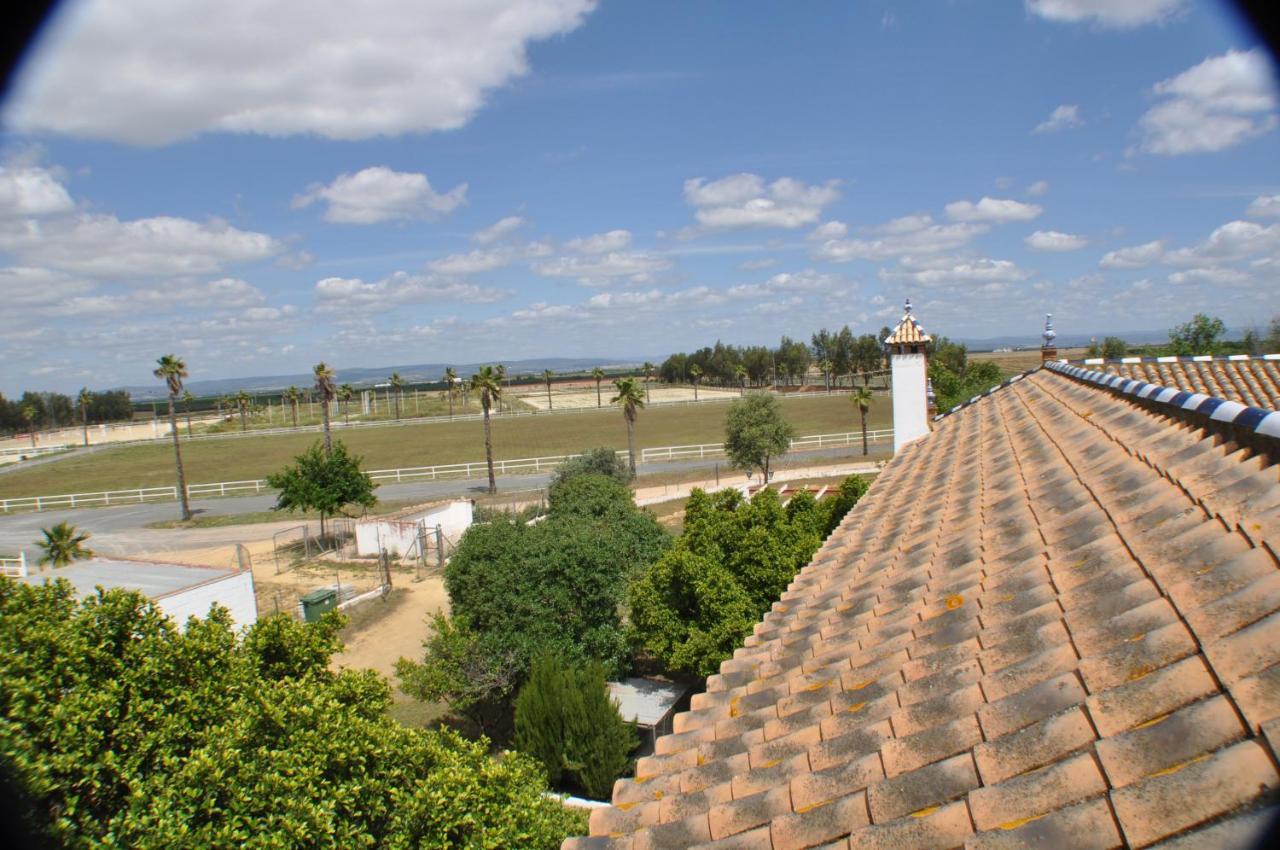 Cortijo La Amazona Sevilha Exterior foto