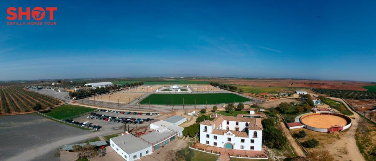 Cortijo La Amazona Sevilha Exterior foto